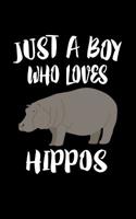 Just A Boy Who Loves Hippos: Animal Nature Collection 1078428379 Book Cover