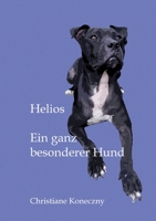 Helios: Ein ganz besonderer Hund 3347025059 Book Cover