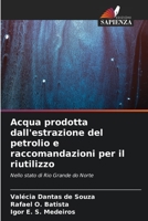 Acqua prodotta dall'estrazione del petrolio e raccomandazioni per il riutilizzo (Italian Edition) 6206586162 Book Cover