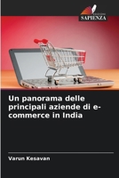 Un panorama delle principali aziende di e-commerce in India (Italian Edition) 6207659104 Book Cover