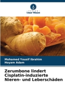 Zerumbone lindert Cisplatin-induzierte Nieren- und Leberschäden (German Edition) 6208279801 Book Cover
