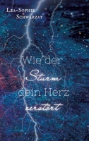 Wie der Sturm dein Herz zerstört (German Edition) 3384366913 Book Cover