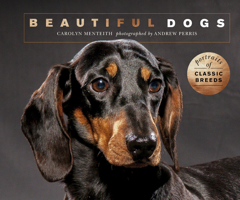 Beautiful Dogs: Portraits of champion breeds 1782400753 Book Cover