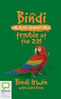 Trouble at the Zoo: A Bindi Irwin Adventure 1038613027 Book Cover