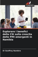 Esplorare i benefici della CSI sulla crescita delle PMI emergenti in Namibia 6204832883 Book Cover