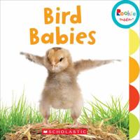 Bird Babies 0531226964 Book Cover