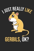 I Just Really Like Gerbils, OK?: DIN A5 Wüstenrennmaus Notizheft leer | 120 Seiten leeres Wüstenrennmaus Notizbuch für Notizen in Schule, Universität, ... | Eine tolles Geschenk für Ihre Liebsten. 1672204828 Book Cover