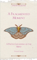 A Fragmented Moment 9369549374 Book Cover