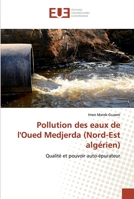 Pollution des eaux de l'Oued Medjerda (Nord-Est algérien): Qualité et pouvoir auto-épurateur 6139541581 Book Cover