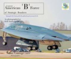 The American B Force 1714623653 Book Cover