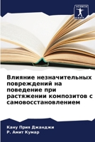 Влияние незначительных & 6205674106 Book Cover