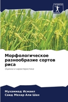 ??????????????? ???????????? ?????? ????: ?????? ? ?????????????? (Russian Edition) 6207569504 Book Cover