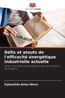 Défis et atouts de l'efficacité énergétique industrielle actuelle (French Edition) 620795744X Book Cover