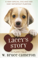 Lacey's Story B0GMWMCVCT Book Cover
