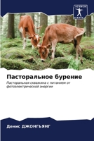 ???????????? ??????? (Russian Edition) 6206605175 Book Cover
