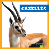 Gazelles / By Penelope S. Nelson 1641285524 Book Cover