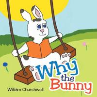 Why the Bunny 1462410006 Book Cover