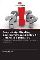 Sens et signification Comment l'esprit entre-t-il dans la bouteille ? (French Edition) 6209191223 Book Cover