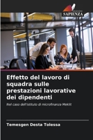 Effetto del lavoro di squadra sulle prestazioni lavorative dei dipendenti (Italian Edition) 6208202973 Book Cover