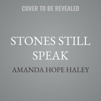 Stones Still Speak: How Biblical Archaeology Illuminates the Stories You Thought You Knew B0FJ3187J3 Book Cover