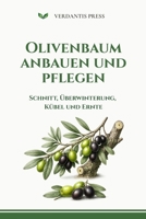 Olivenbaum anbauen und pflegen: Schnitt, Überwinterung, Kübel und Ernte (Verdantis Praxis-Gartenratgeber) (German Edition) B0H6KQKNZ2 Book Cover
