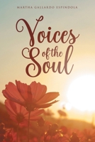 Voices of the Soul B0DSHFJK8D Book Cover