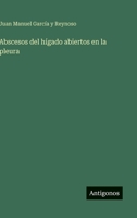 Abscesos del hígado abiertos en la pleura 356384173X Book Cover