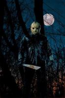 Friday the 13th 1401214592 Book Cover