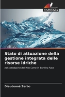 Stato di attuazione della gestione integrata delle risorse idriche: nel sottobacino dell'Alto Como in Burkina Faso 6205817713 Book Cover