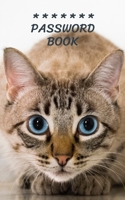 Internet Password Book with Tabs Keeper Manager And Organizer You All Password Notebook Cute Cat: Internet password book password organizer with tabs alphabetical 1705795897 Book Cover