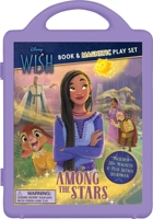Disney Wish: Magnetic Play Set 0794452272 Book Cover