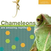 Chameleon - English 1535201673 Book Cover
