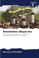 Экономика общества: Оптимальное решение для государств в многомерных кризисных ситуациях 6204150065 Book Cover