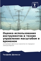 Оценка использования ин& 6205645491 Book Cover