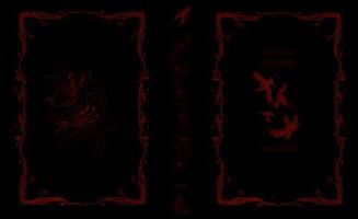 Playing With Fire B0H8WWPZX3 Book Cover