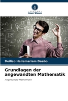 Grundlagen der angewandten Mathematik 6204158074 Book Cover