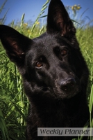 Weekly Planner: Black German Shepherd Daily Planner 52 weeks Agenda Schedule Organizer 6x9 167867916X Book Cover