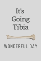 It's Going Tibia Wonderful Day: Physician, Osteopath, Physio, Medical Assistant, Nurse Journal - Funny Medical Pun Notebook 1088729894 Book Cover