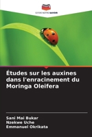 Études sur les auxines dans l'enracinement du Moringa Oleifera (French Edition) 6208932963 Book Cover