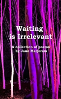Waiting is irrelevant 9357214208 Book Cover