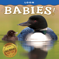 Loon Babies! 1560378301 Book Cover