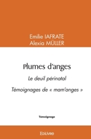 Plumes d'anges (French Edition) 2414536063 Book Cover