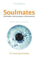 Soulmates 1447565509 Book Cover