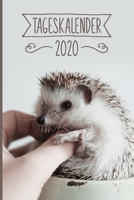 Tageskalender 2020: Igel Terminkalender ca DIN A5 weiß über 370 Seiten I Jahreskalender I Terminplaner I Tagesplaner 1700901737 Book Cover
