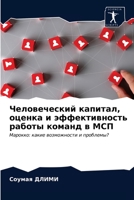 Человеческий капитал, оценка и эффективность работы команд в МСП: Марокко: какие возможности и проблемы? 6203399809 Book Cover