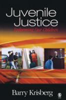 Juvenile Justice: Redeeming Our Children 0761925007 Book Cover