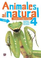 Animales Al Natural 4. Insectos Bajo La Lupa: Takaoka, Masae y Mamoru Yasuda 607161659X Book Cover