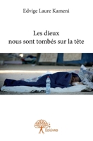 Les dieux nous sont tombés sur la tête (French Edition) 2332893504 Book Cover