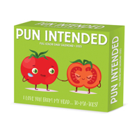 Pun Intended 2025 6.2 X 5.4 Box Calendar 1549241001 Book Cover