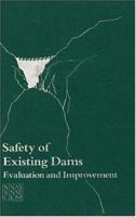 Safety of Existing Dams: Evaluation and Improvement 030903387X Book Cover